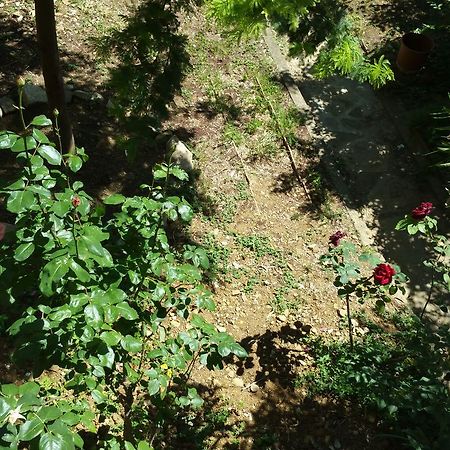 La Villa Nei Fiori Флоренція Екстер'єр фото